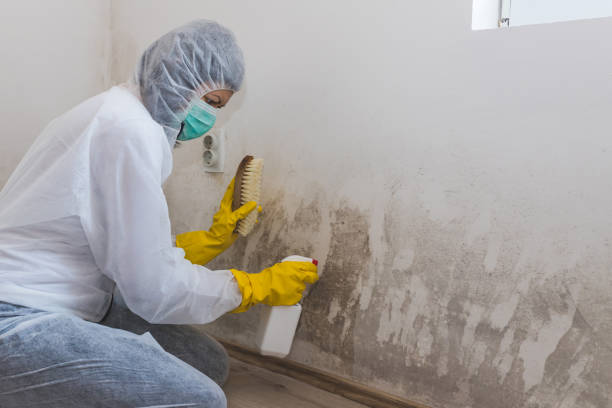 Asbestos and Lead Testing During Mold Inspection in Great Falls, SC