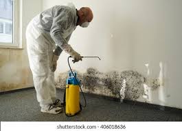 Environmental Consulting for Mold Prevention in Great Falls, SC